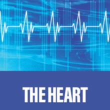 Strange Cranium The Heart